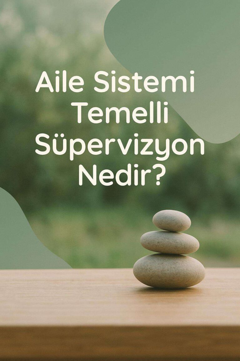 Sistemik Yaklaşımla Süpervizyon
