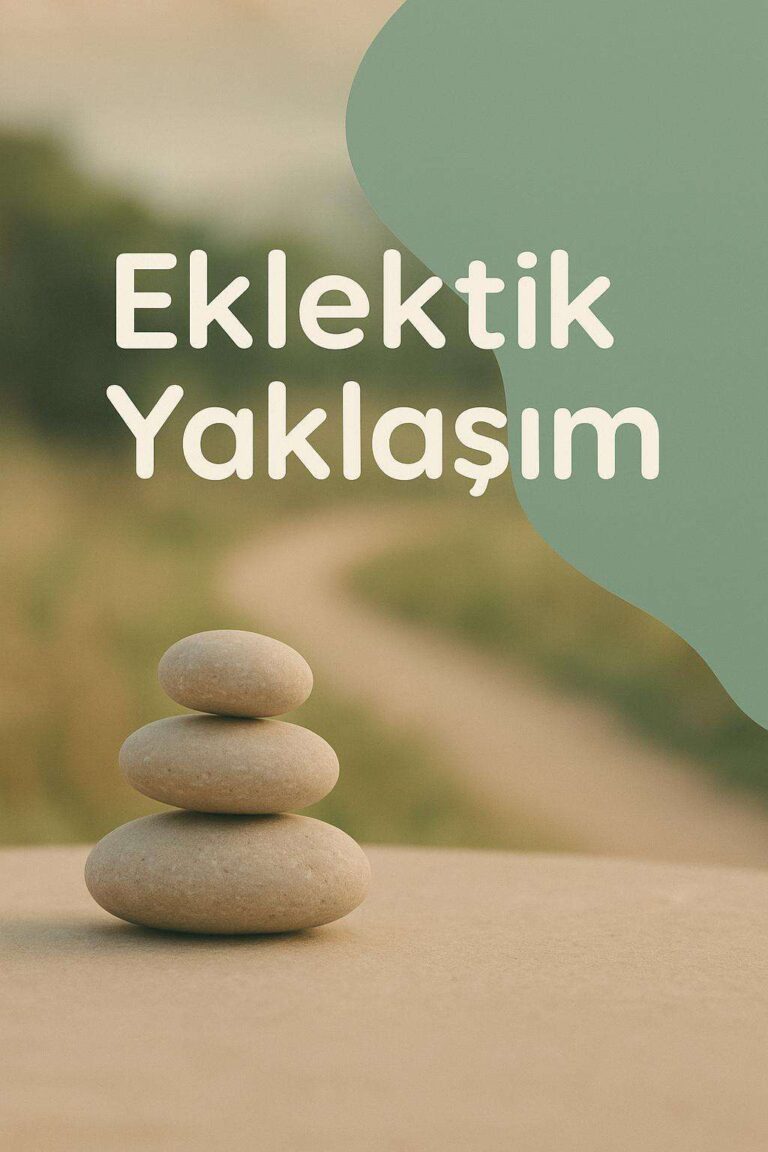 Çok Teorik Çerçeve Kullanmak: Eklektik Yaklaşım
